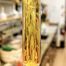 Glass tube filled with liquid that is golden in color and has many vertical strands that appear like small beads of a necklace